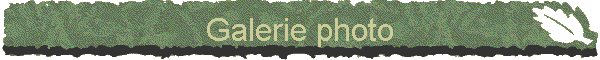 Galerie photo