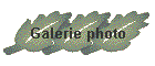 Galerie photo